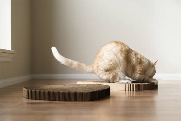 Cat Scratching Pad: Cornerstone Shape - Image 3